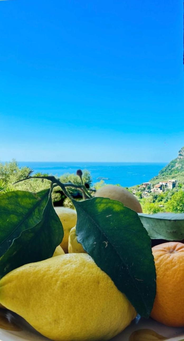 Villa Wanderlust Piano di Sorrento Exterior foto